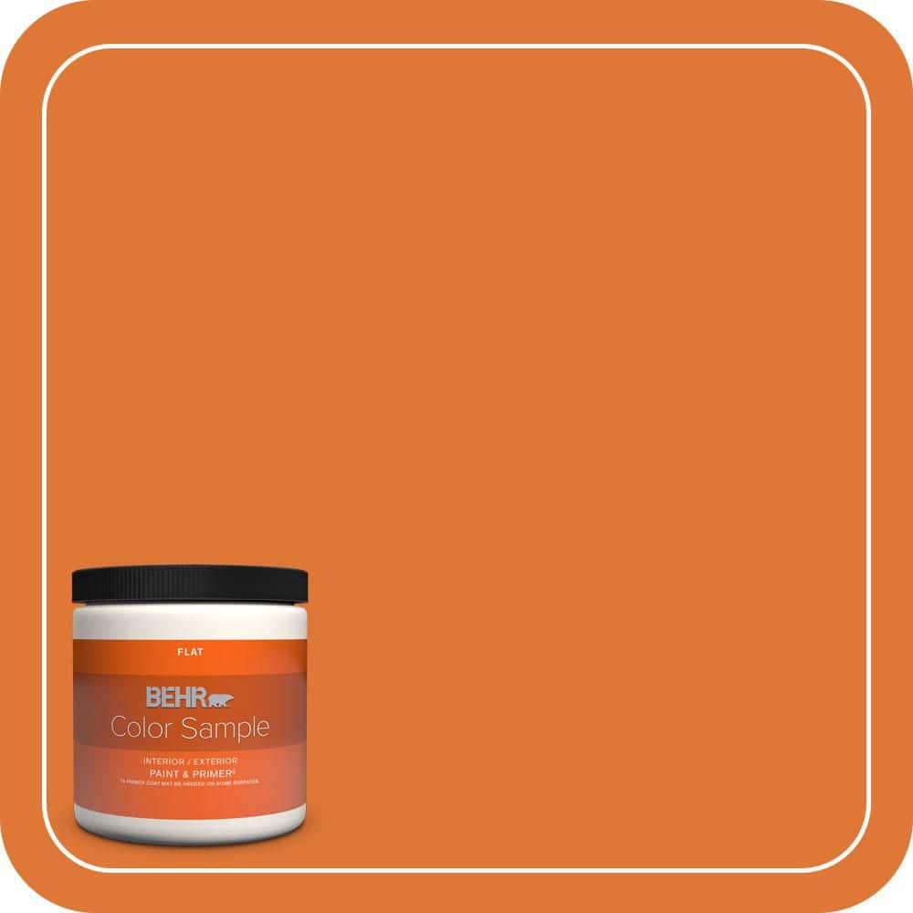 BEHR PREMIUM PLUS #240B-7 Carrot Stick Flat Interior/Exterior Paint & Primer Color Sample