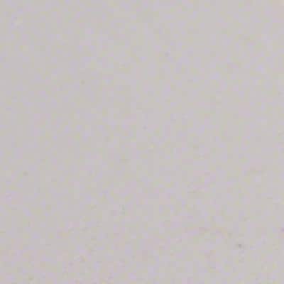 MSI White Double Beveled 4 in. x 24 in. Polished Engineered Marble Threshold Tile Trim (2 ln. ft./Each) (3)
