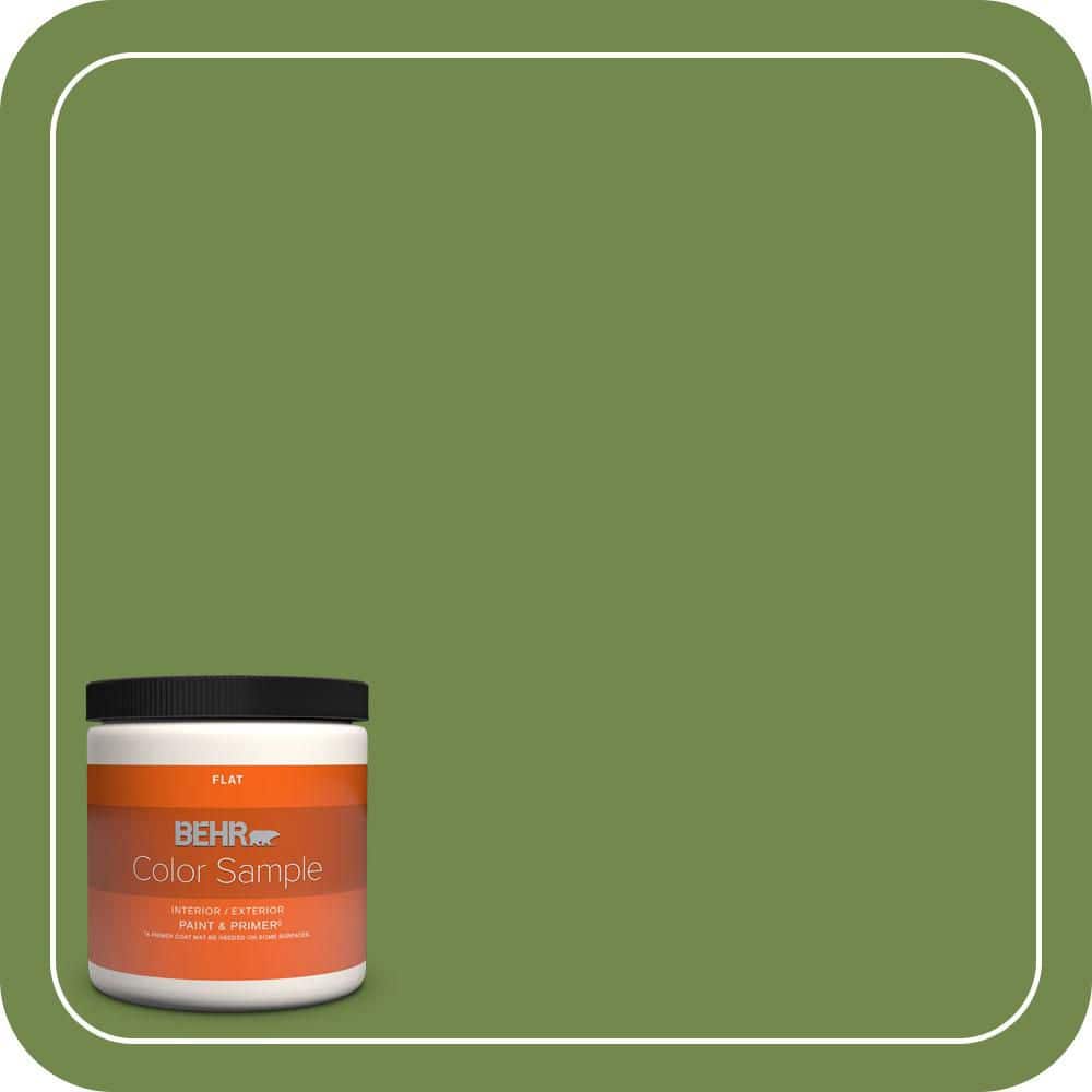 BEHR PREMIUM PLUS Home Decorators Collection #HDC-SM14-2 Green Suede Enamel & Primer Color Sample (1)
