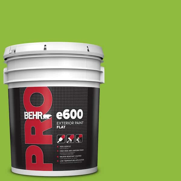 BEHR PRO 5 gal. #S-G-420 Limeade Flat Exterior Paint (2)