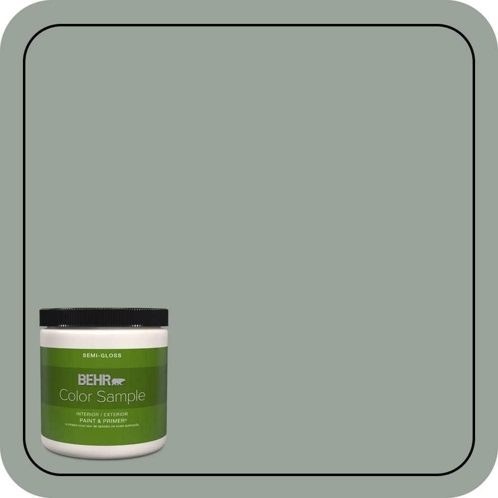BEHR PREMIUM PLUS #N410-4 Natures Gift Interior/Exterior Paint & Primer Color Sample (1)