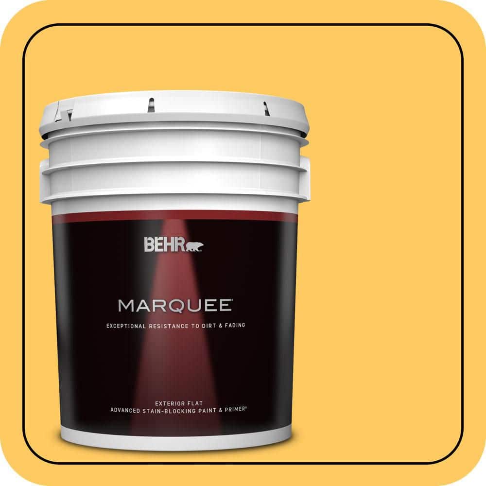 BEHR MARQUEE 5 gal. #P260-6 Smiley Face Flat Exterior Paint & Primer