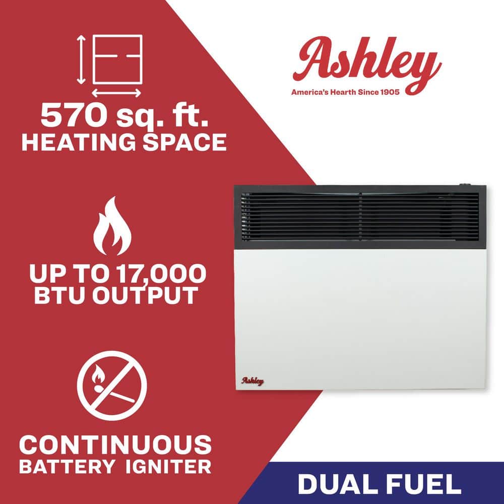 Ashley Hearth Products Ashley Direct Vent Wall Heater Dual Fuel, 17K BTU (2)