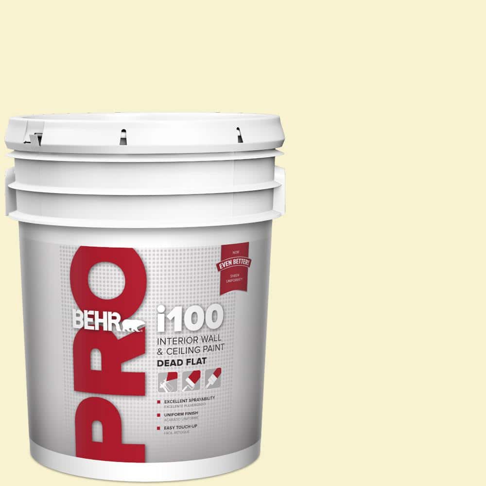 BEHR PRO 5 gal. #P320-1 Flashpoint Dead Flat Interior Paint (1)