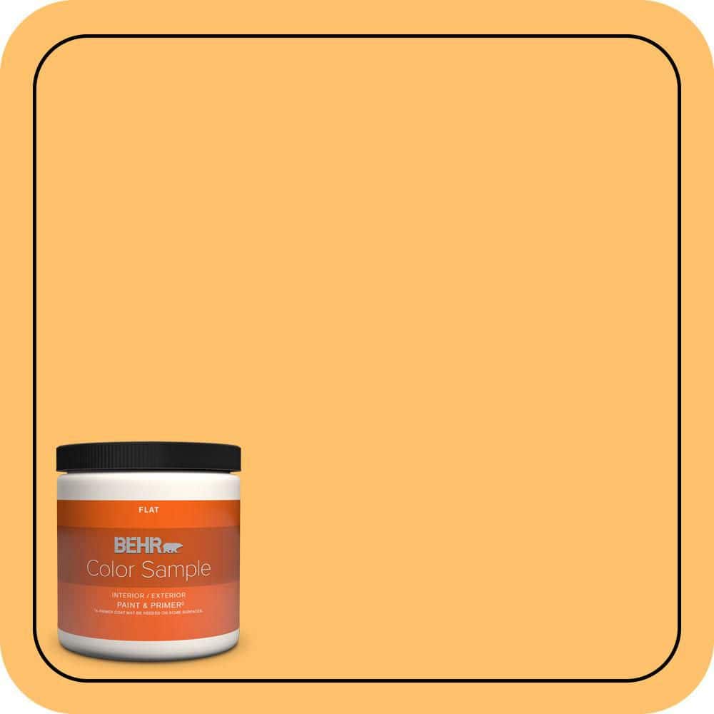 BEHR PREMIUM PLUS 8 oz. #P250-5 Solar Storm Flat Interior/Exterior Paint & Primer Color Sample