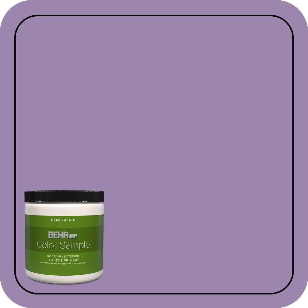 BEHR PREMIUM PLUS 8 oz. #M570-5 Celeb City Semi-Gloss Interior/Exterior Paint & Primer Color Sample