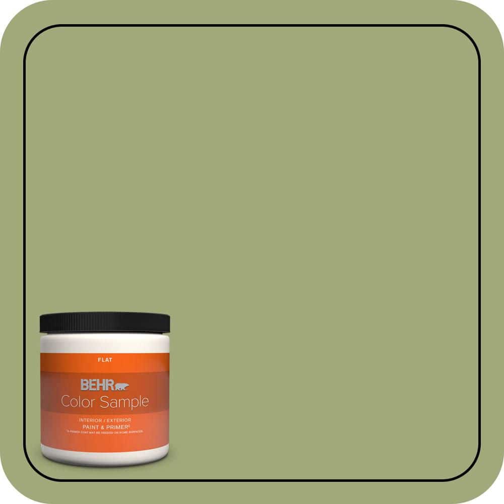 BEHR PREMIUM PLUS #T18-16 Nurturing Enamel Low Odor & Primer (1)