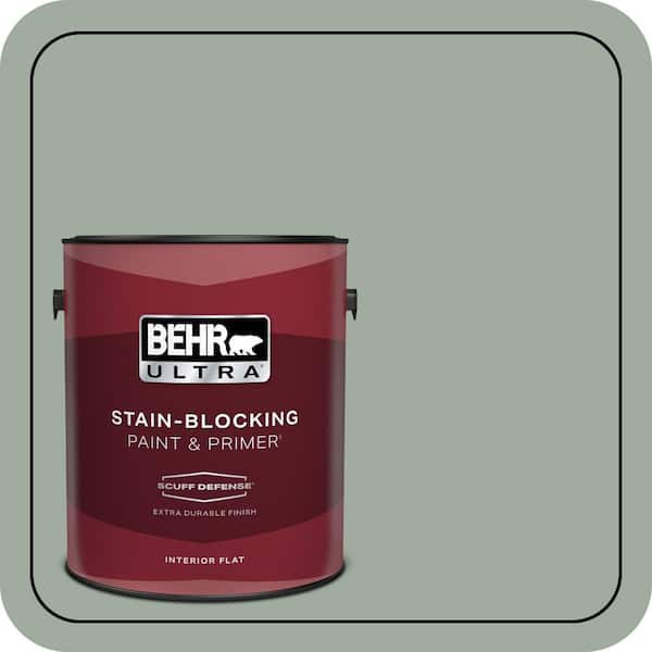BEHR PREMIUM PLUS #PPU11-15 Green Balsam Enamel Exterior Stain-Blocking Paint & Primer (4)