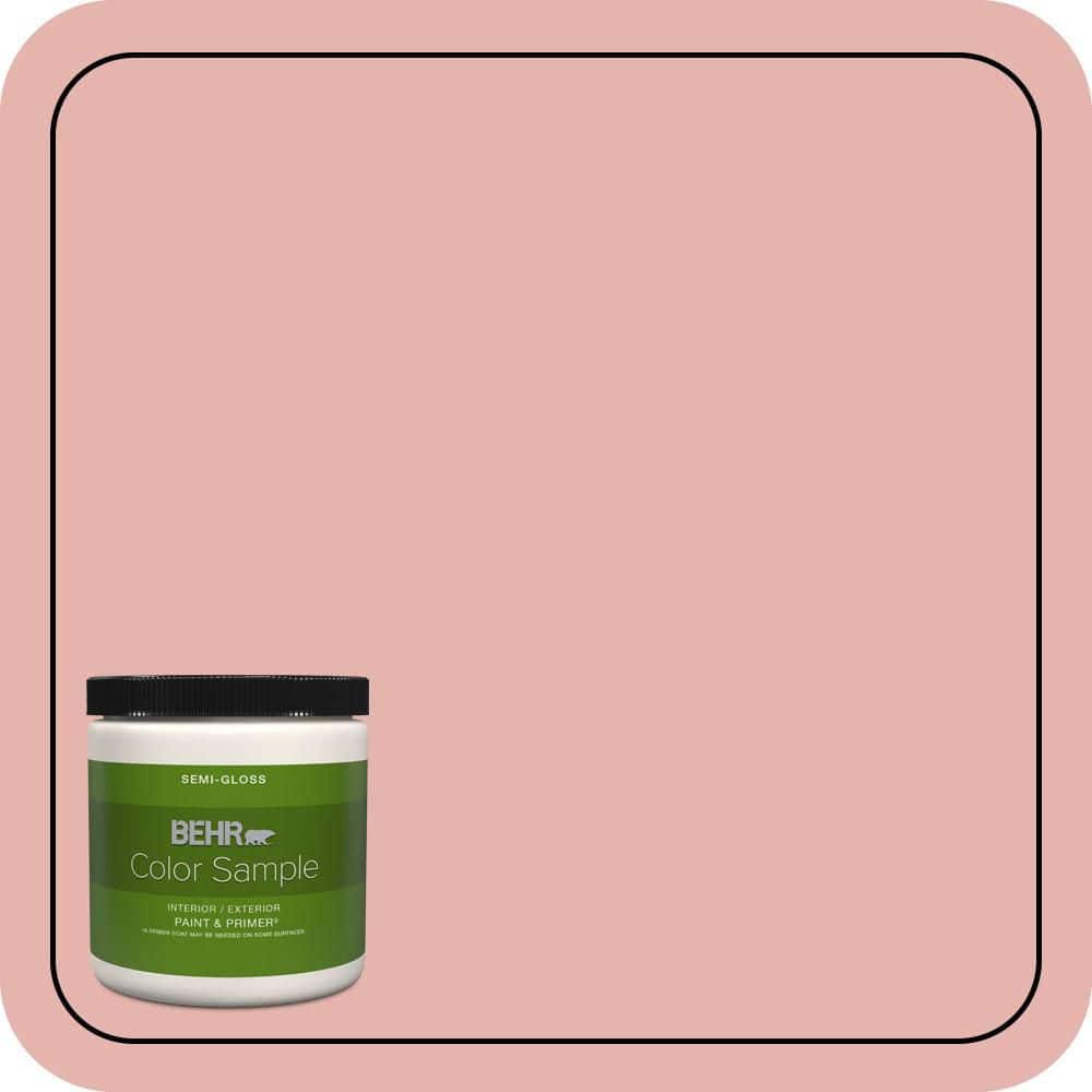 BEHR PREMIUM PLUS Home Decorators Collection #HDC-SP16-09 Dahlia Enamel Low Odor & Primer (1)