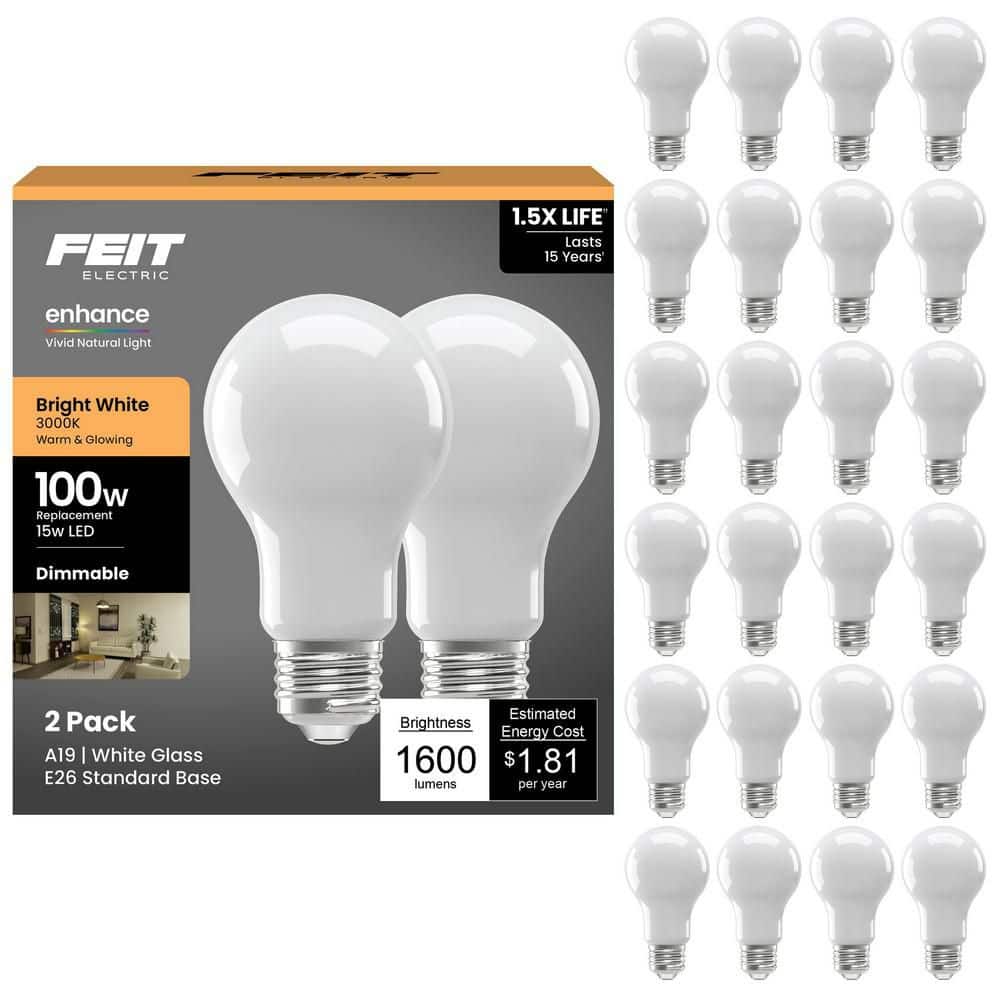 Feit Electric 100-Watt Equivalent A19 Dimmable Filament CEC 90 CRI White Glass E26 Medium LED Light Bulb, Bright White 3000K (24-Pack)