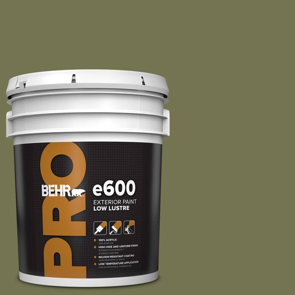 BEHR PRO 5 gal. #S360-6 Secret Meadow Low Luster Exterior Paint