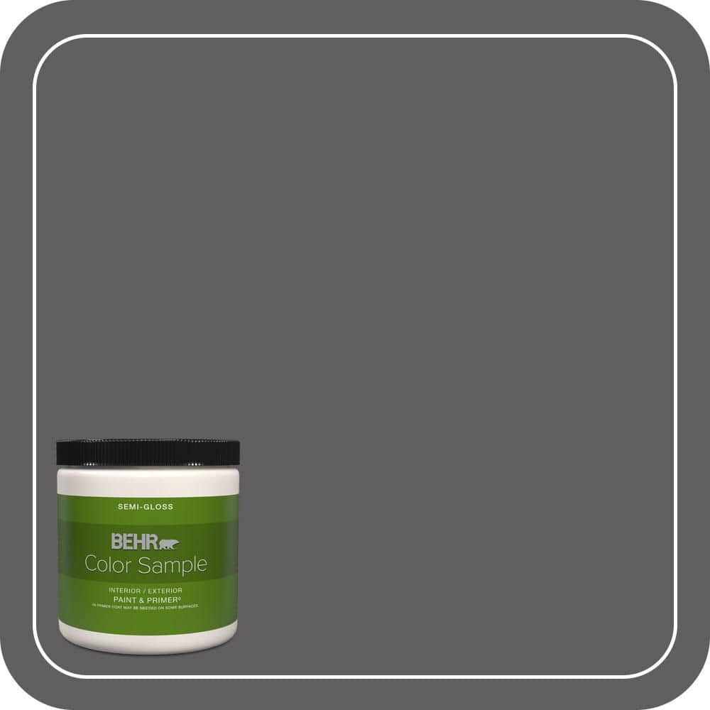 BEHR PREMIUM PLUS 8 oz. #T17-10 Shades On Semi-Gloss Interior/Exterior Paint & Primer Color Sample