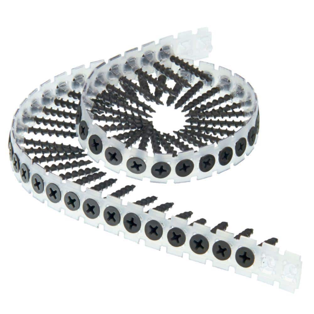Senco #6 1-1/4 in. Phillips Bugle-Head Collated Drywall Screw (1000-Pack) (3)