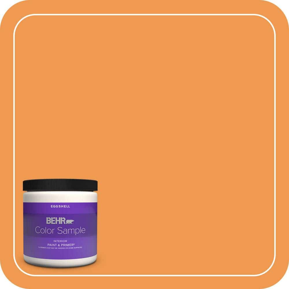 BEHR PREMIUM PLUS #270B-6 Autumn Orange Enamel Low Odor & Primer (1)