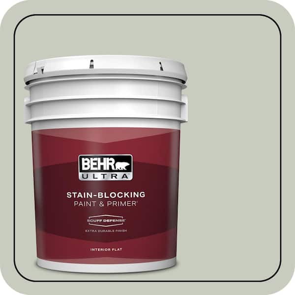 BEHR PREMIUM PLUS #PPL-80 Dynasty Celadon Flat Interior/Exterior Paint & Primer Color Sample (4)