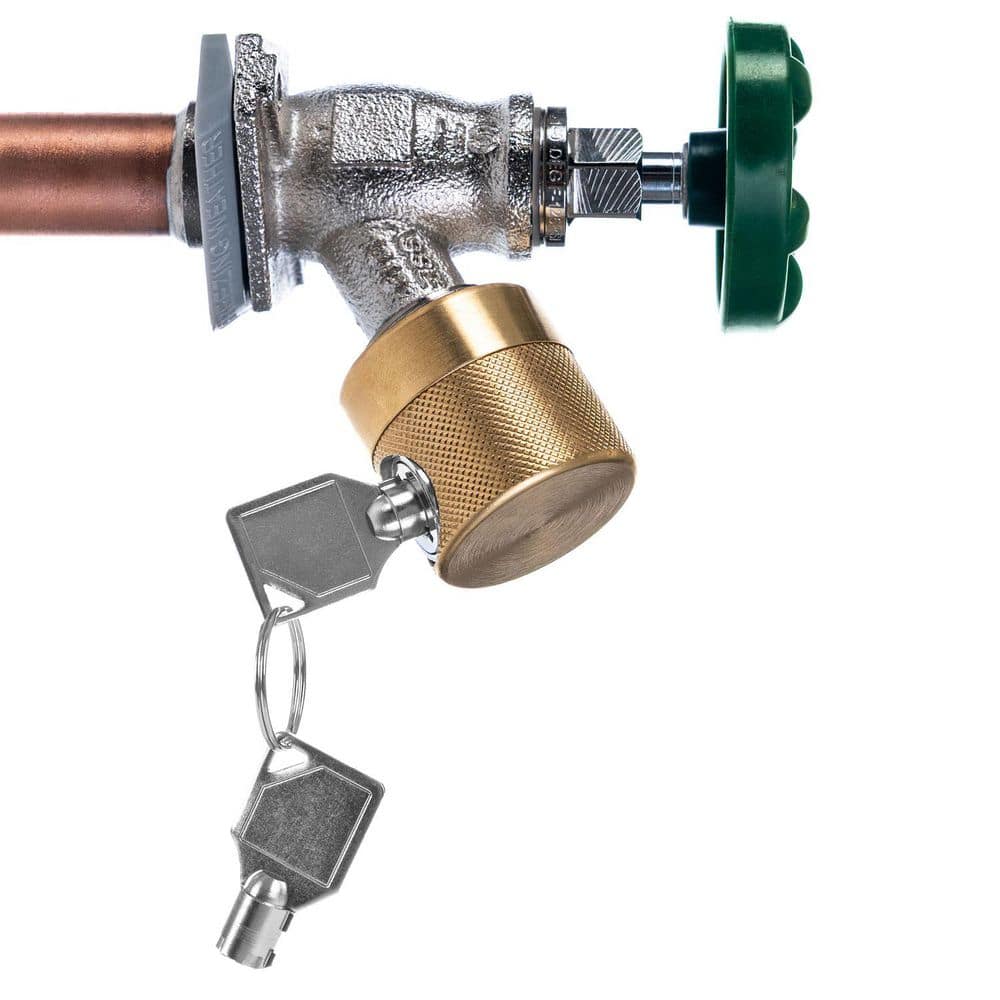 VPC 3/4-in. FHT Hose Bibb Faucet Lock with Keys (4)