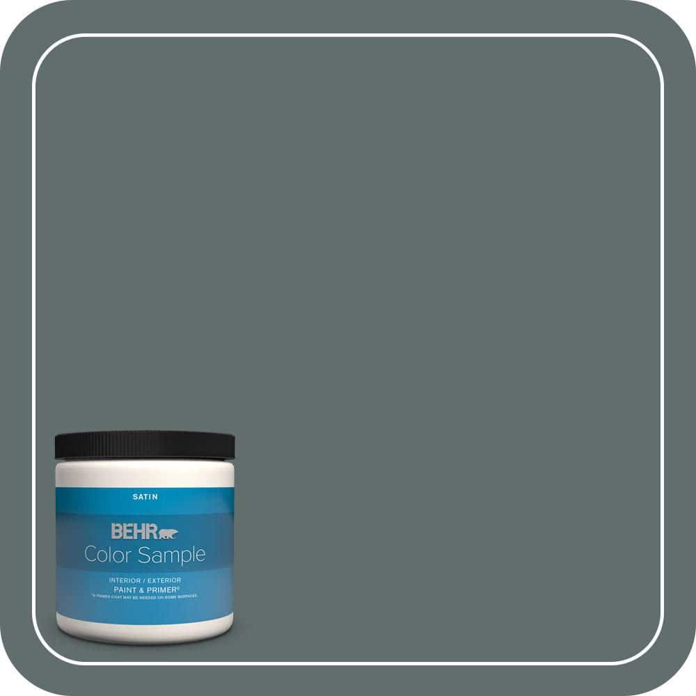 BEHR PREMIUM PLUS #PPU12-19 Mountain Pine Enamel & Primer Color Sample (1)