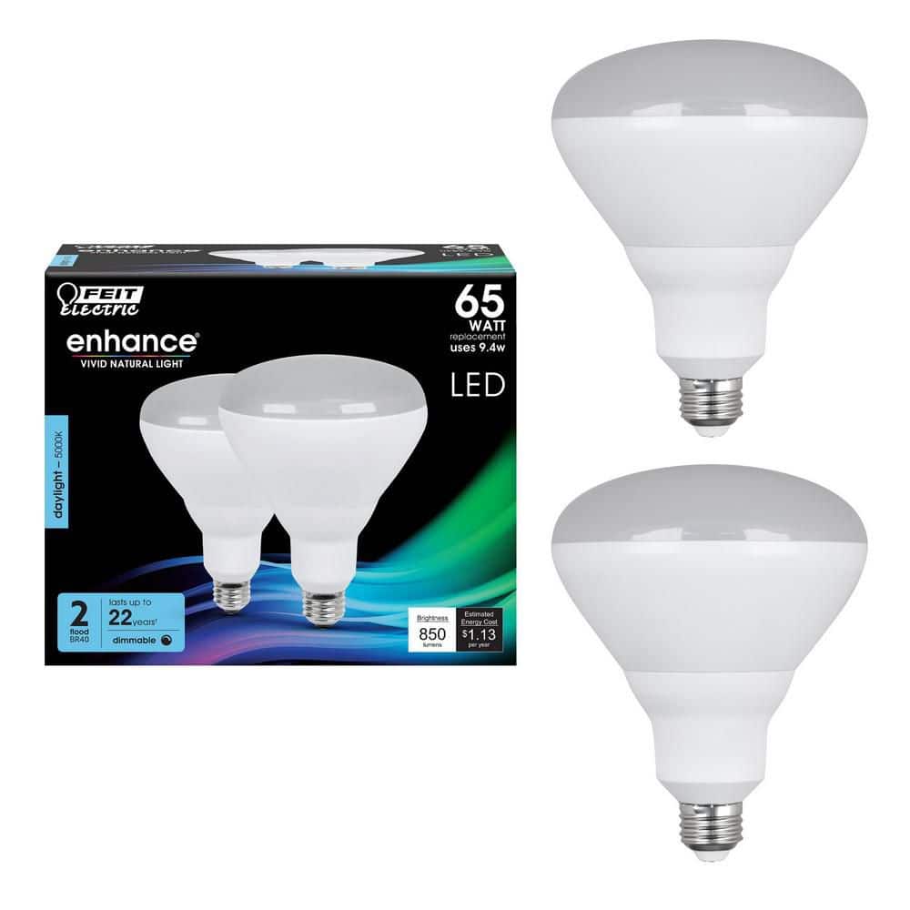 Feit Electric 65-Watt Equivalent BR40 Dimmable 90+ CRI Recessed CEC Title 20 E26 Flood LED Light Bulb, Daylight 5000K (2-Pack) (2)