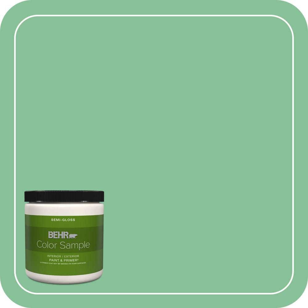 BEHR PREMIUM PLUS #MQ6-40 Country Weekend Interior/ & Primer Color Sample (1)