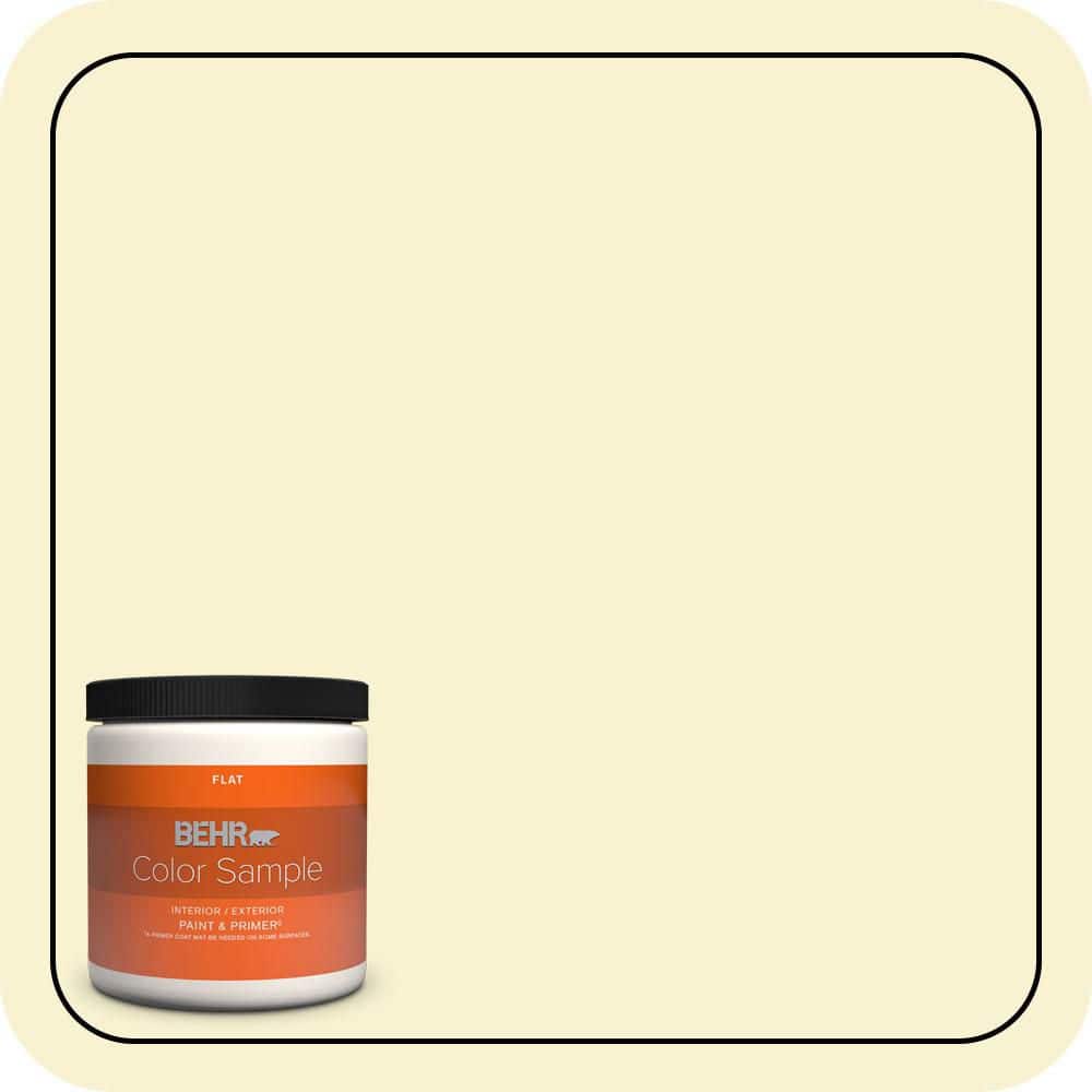 BEHR PREMIUM PLUS 8 oz. #P320-1 Flashpoint Flat Interior/Exterior Paint & Primer Color Sample
