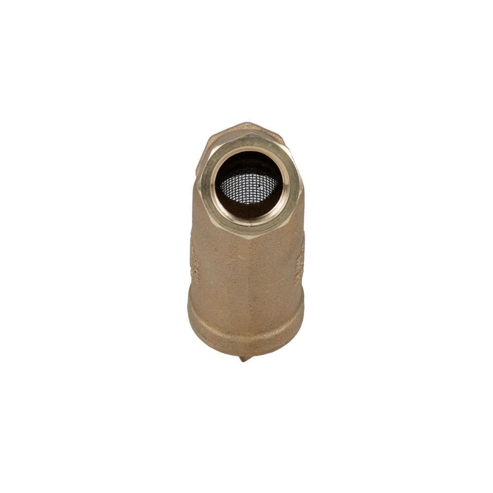 Wilkins 3/4 in. SXL Cast Bronze Wye Type Strainer, Lead Free (3)