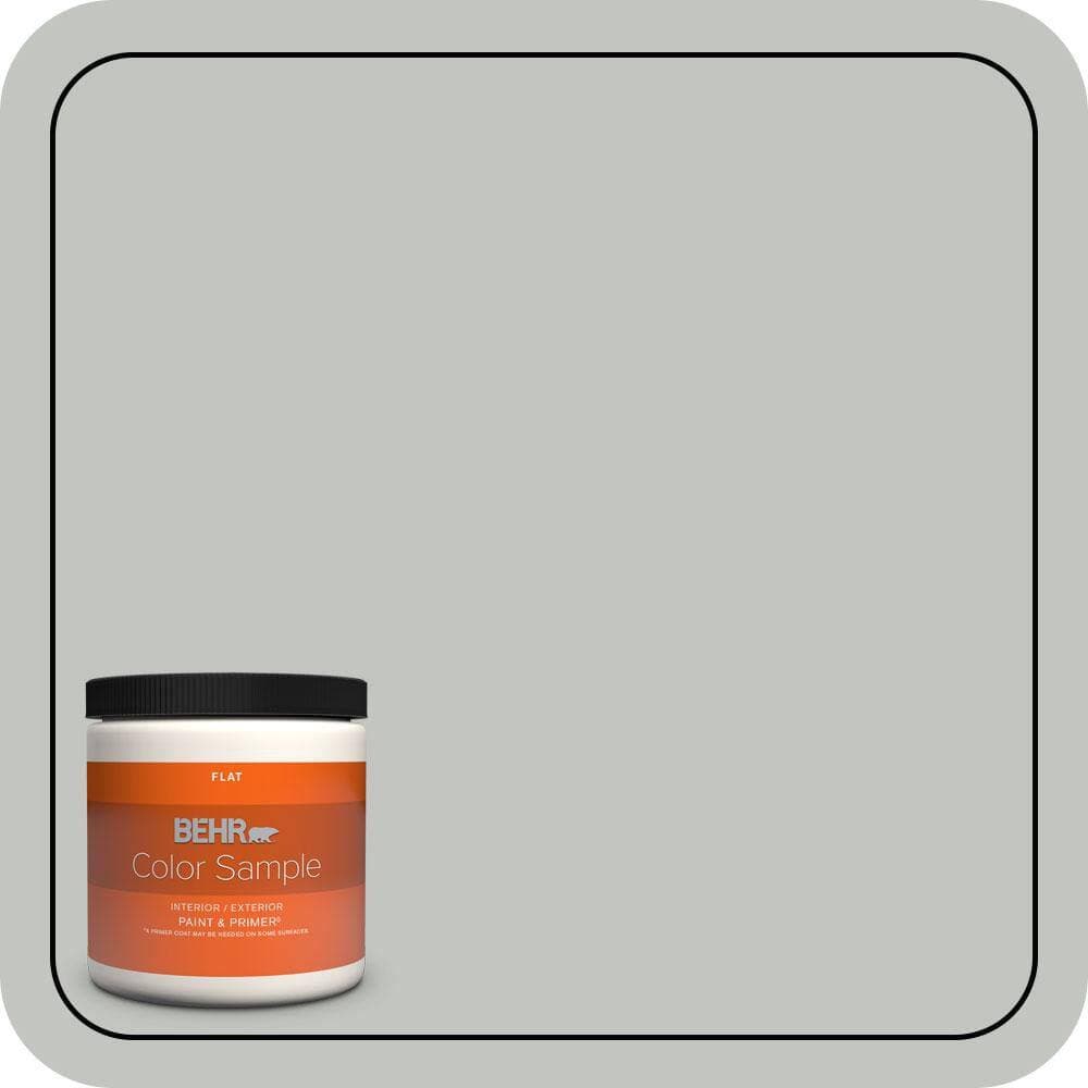 BEHR PREMIUM PLUS 8 oz. #PPU25-14 Engagement Silver Flat Interior/Exterior Paint & Primer Color Sample