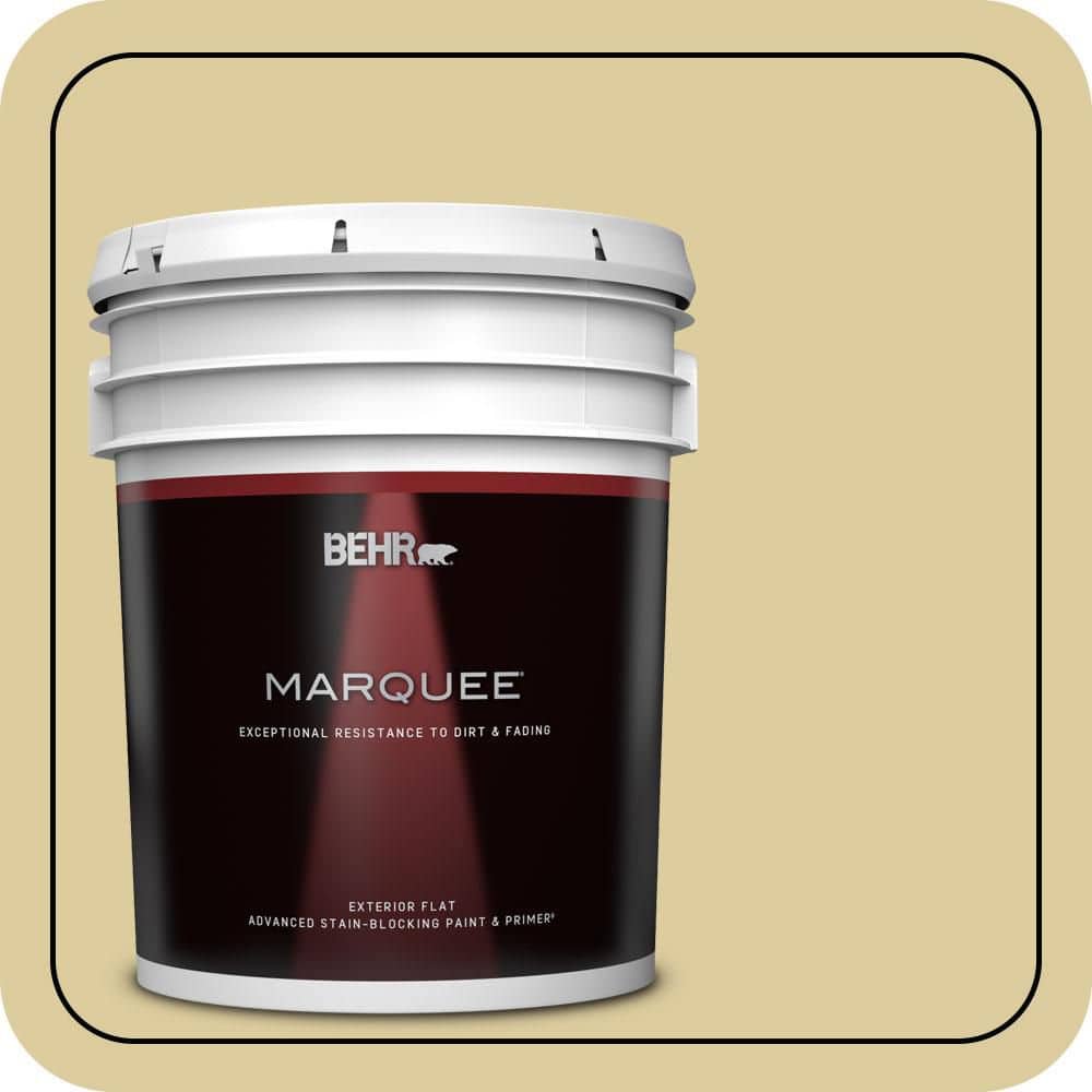 BEHR MARQUEE 5 gal. #PPU8-11 Mojito Flat Exterior Paint & Primer