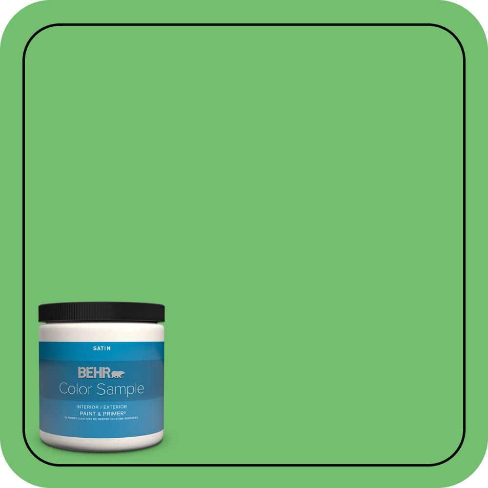BEHR PREMIUM PLUS #440B-5 Dublin Enamel Interior/Exterior Paint & Primer Color Sample (1)