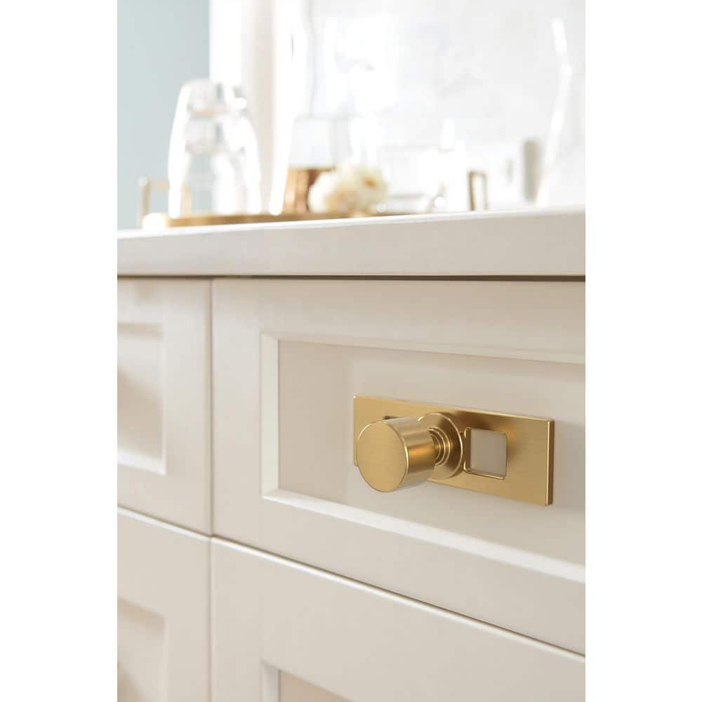Amerock Medora 3-11/16 in. (94 mm) Length Rectangle Champagne Bronze Knob Cabinet Backplate (2)