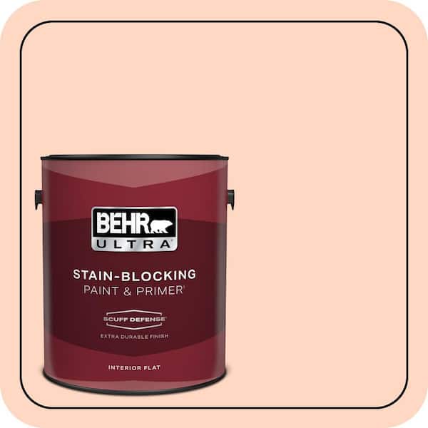 BEHR PREMIUM PLUS #220A-2 Friendship Enamel Interior/Exterior Paint & Primer Color Sample (4)