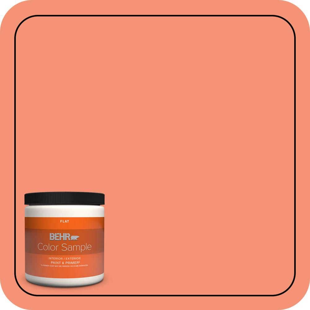 BEHR PREMIUM PLUS #200B-5 Indian Dance Enamel Low Odor & Primer (1)