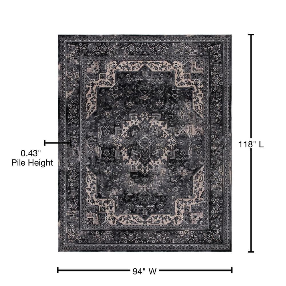 Home Decorators Collection Angora 8 ft. x 10 ft. Medallion Area Rug (4)