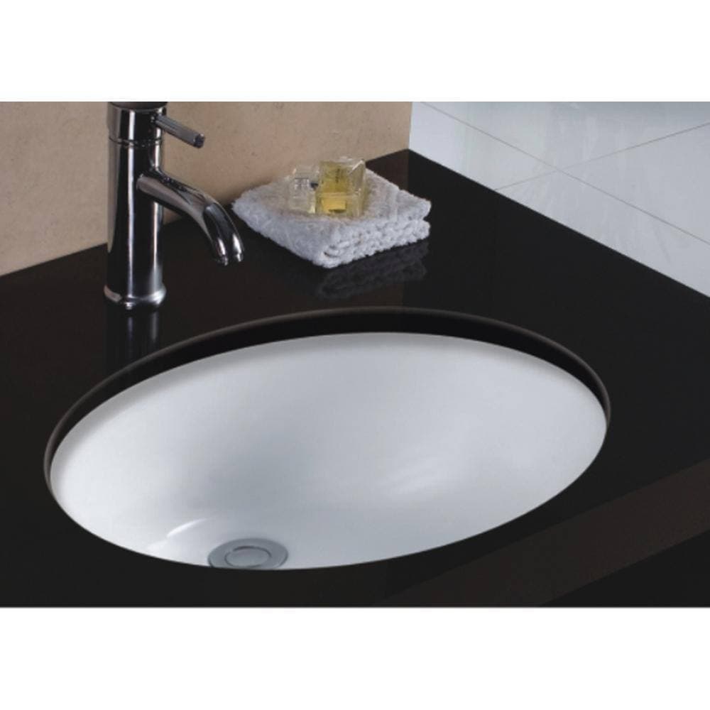 Wells Sinkware 20 in. x 16 in. x 8 in. Wells Oval Vitreous Ceramic Lavatory Single Bowl Undermount in White (2)