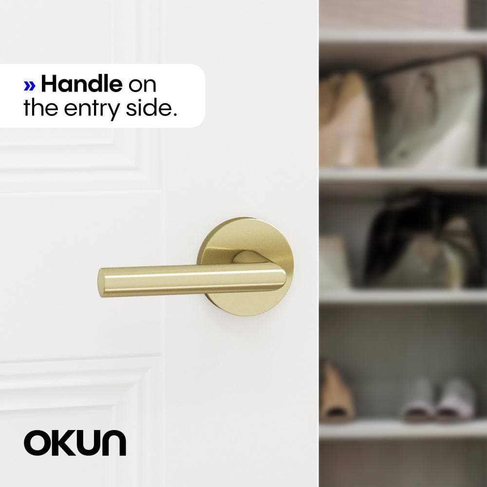 Okun Stark Metal Brushed Champagne Gold Dummy Door Handle with Round Rosette (2)