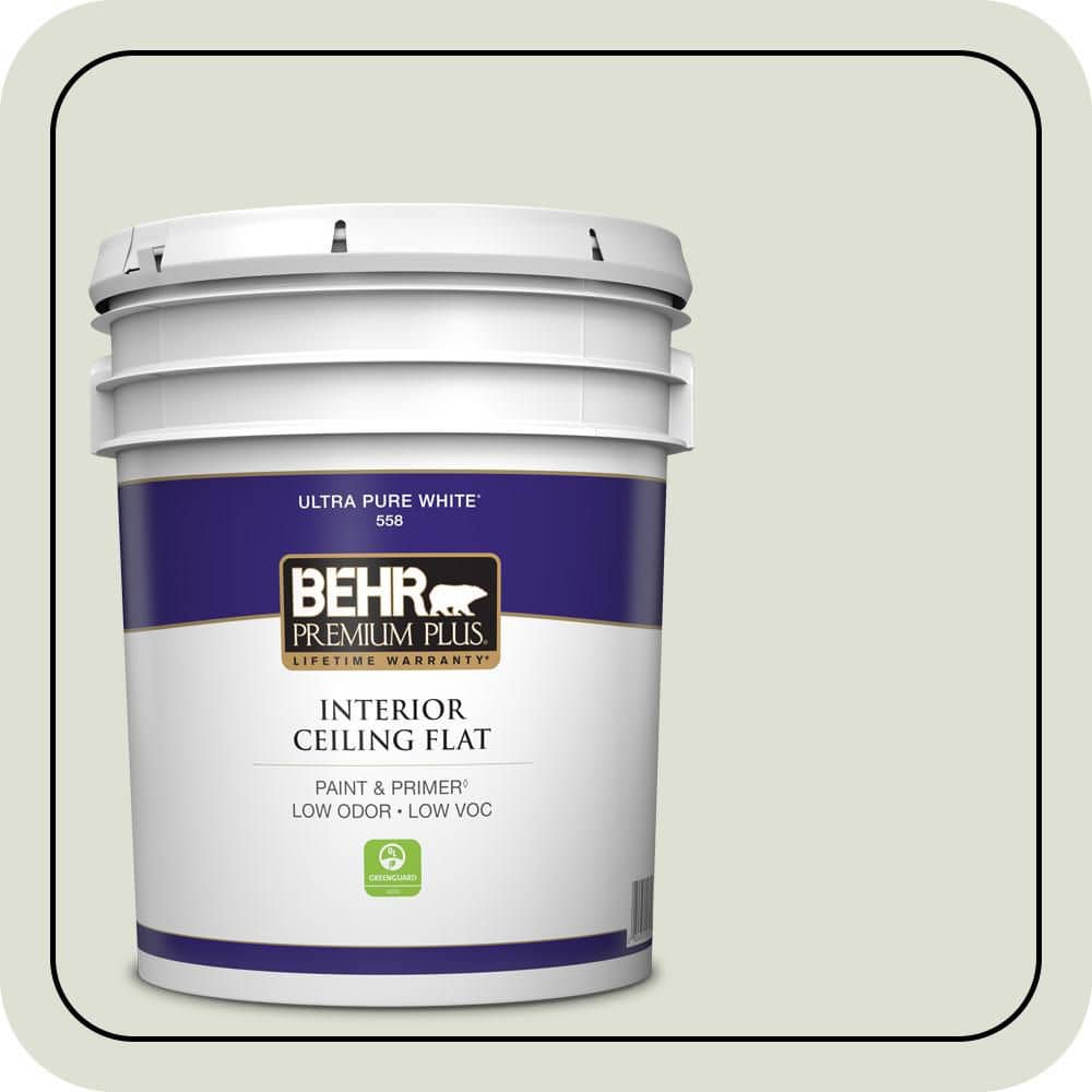 BEHR PREMIUM PLUS 5 gal. #PPU10-12 Whitened Sage Ceiling Flat Interior Paint & Primer (1)