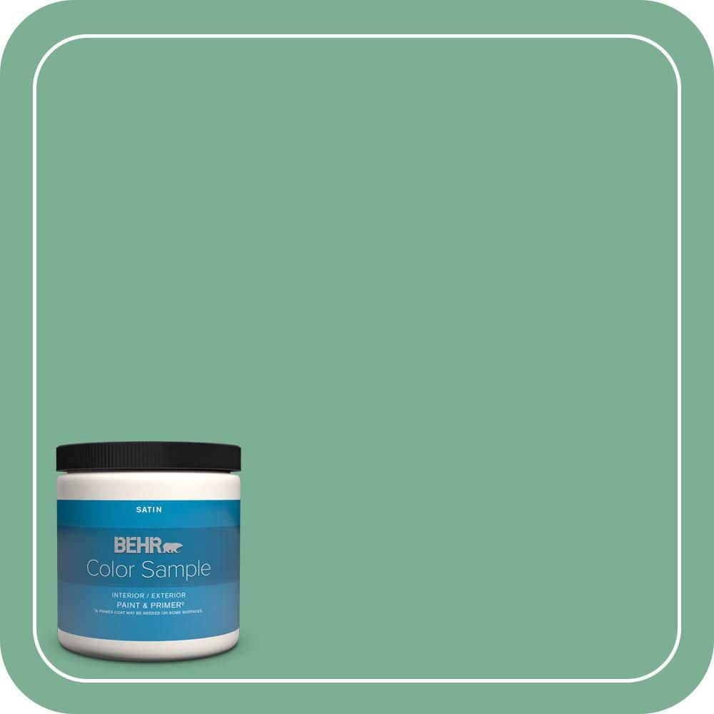 BEHR PREMIUM PLUS #MQ6-12 Nature Green Enamel & Primer Color Sample (1)