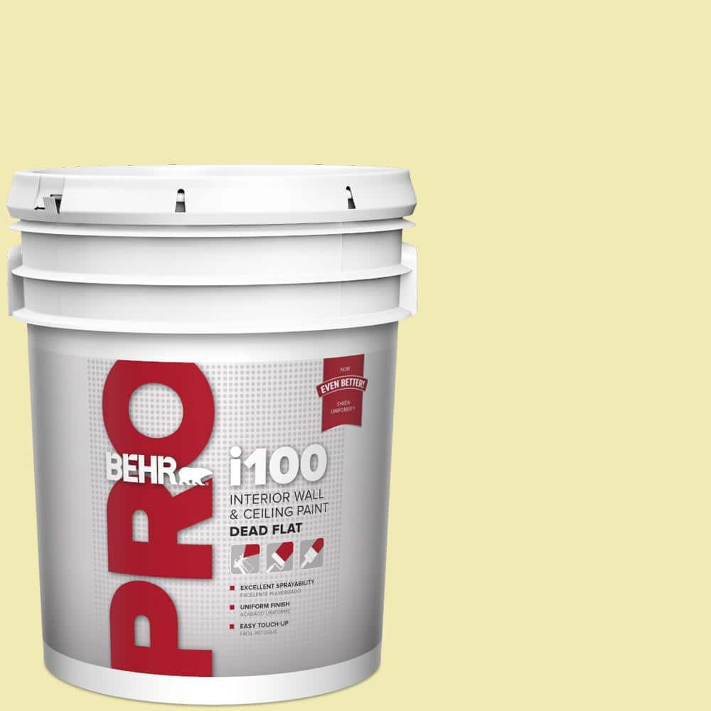 BEHR PRO 5 gal. #P340-2 Invigorating Dead Flat Interior Paint (1)