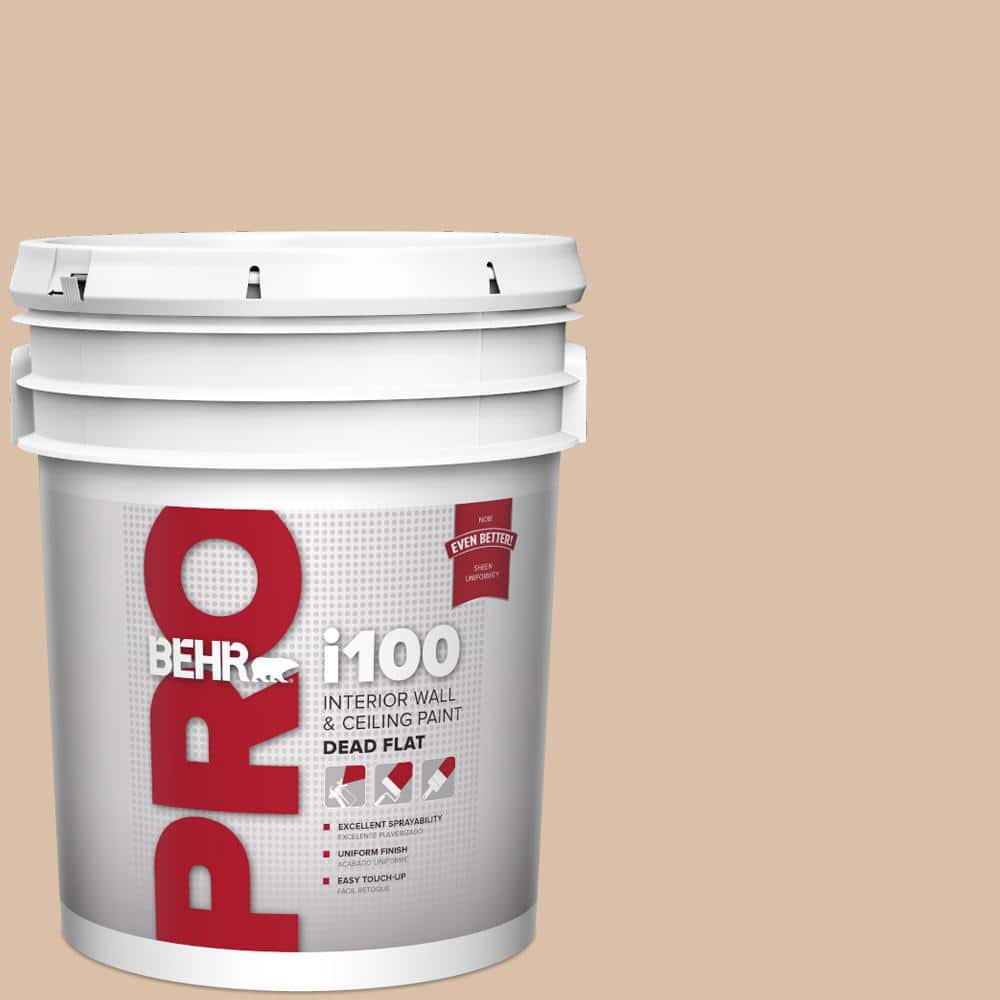 BEHR PRO 5 gal. #BXC-77 Riviera Retreat Dead Flat Interior Paint
