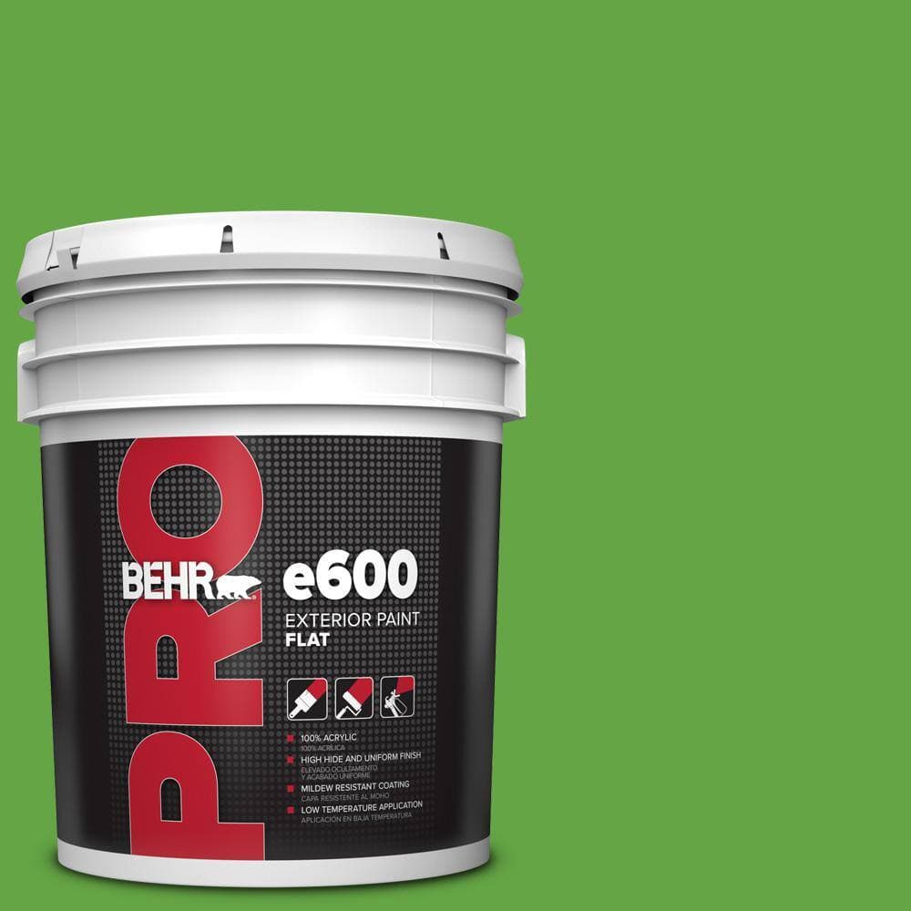 BEHR PRO 5 gal. #430B-6 Caterpillar Flat Exterior Paint (1)