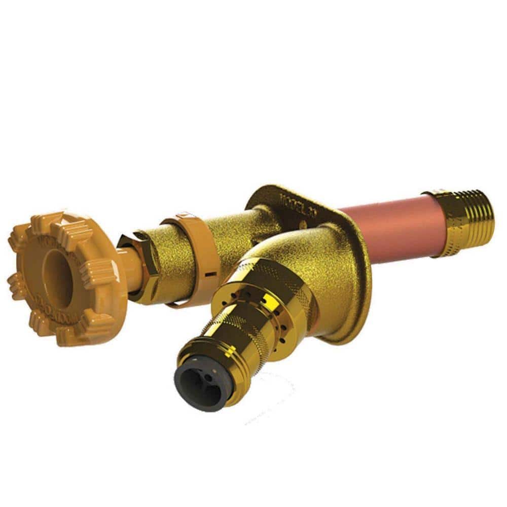 Woodford 1/2 in. PEX x 10 in. L Freezeless Auto Drain Sillcock with 50HA Backflow Preventer (1)