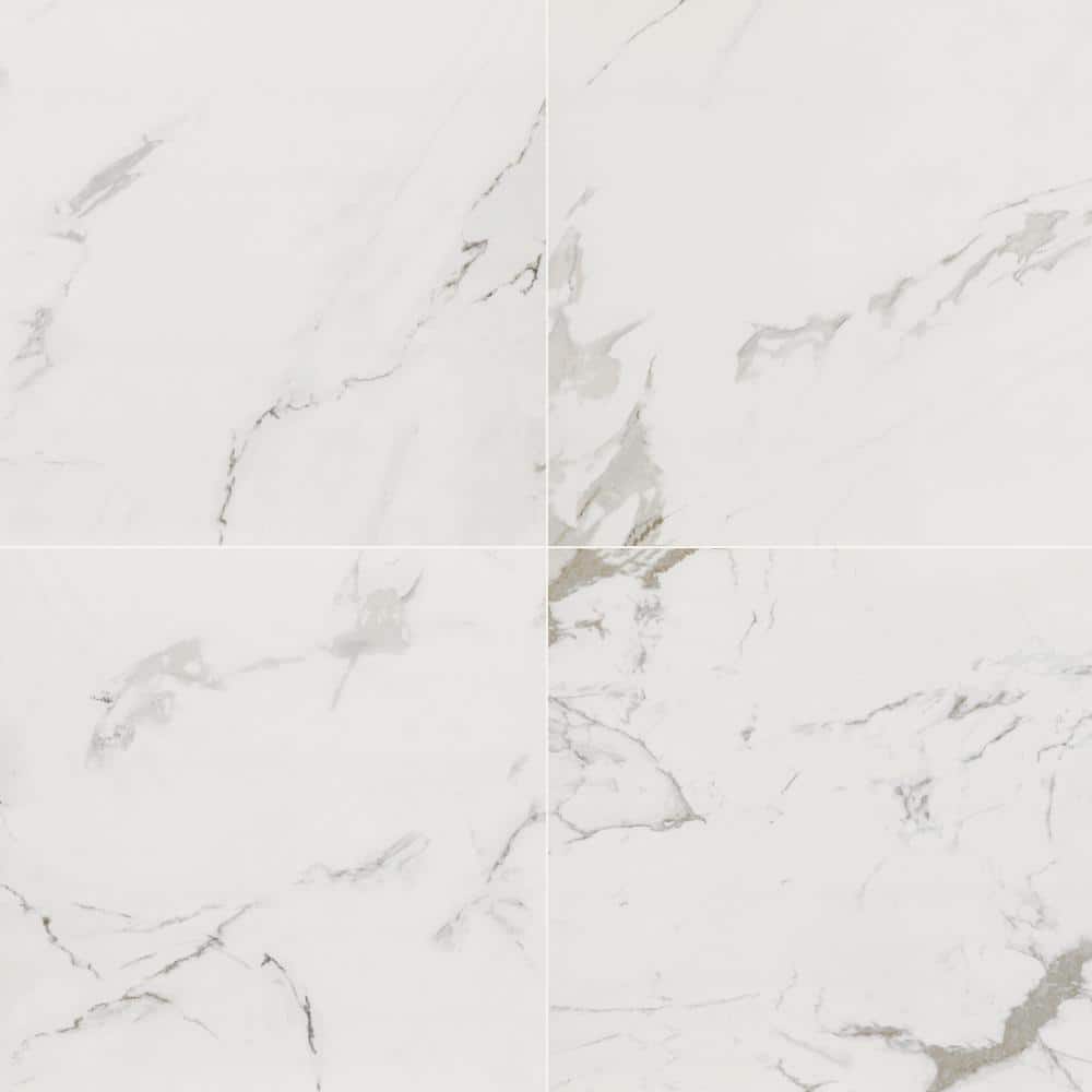Home Decorators Collection Carrara 24 in. x 24 in. Polished Porcelain Floor and Wall Tile (4 sq. ft./Each) (2)