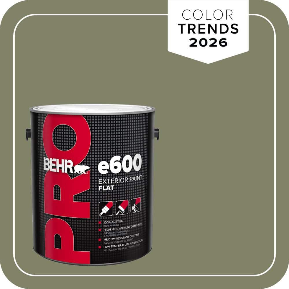 BEHR PRO 1 gal. #S380-6 Ecological Flat Exterior Paint