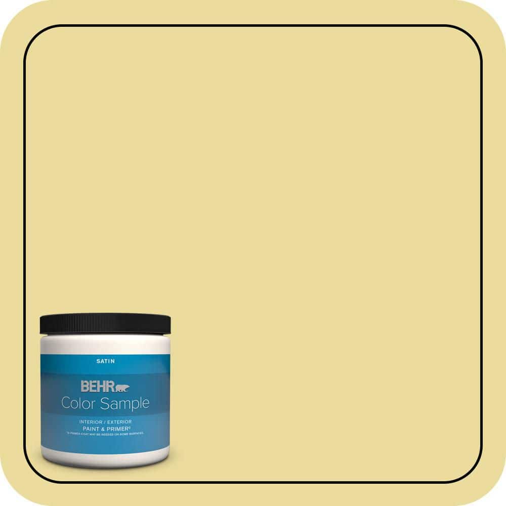 BEHR PREMIUM PLUS #P330-3A Flourish Flat Interior/Exterior Paint & Primer Color Sample (1)