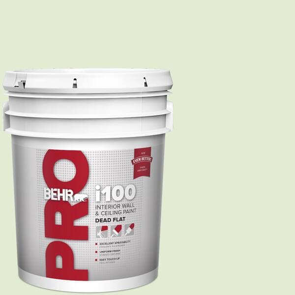 BEHR PRO 5 gal. #P380-2 Misted Fern Dead Flat Interior Paint (2)