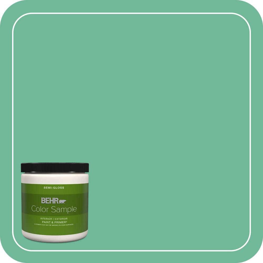 BEHR PREMIUM PLUS #MQ6-41 Farmers Market Interior/Exterior Paint & Primer Color Sample