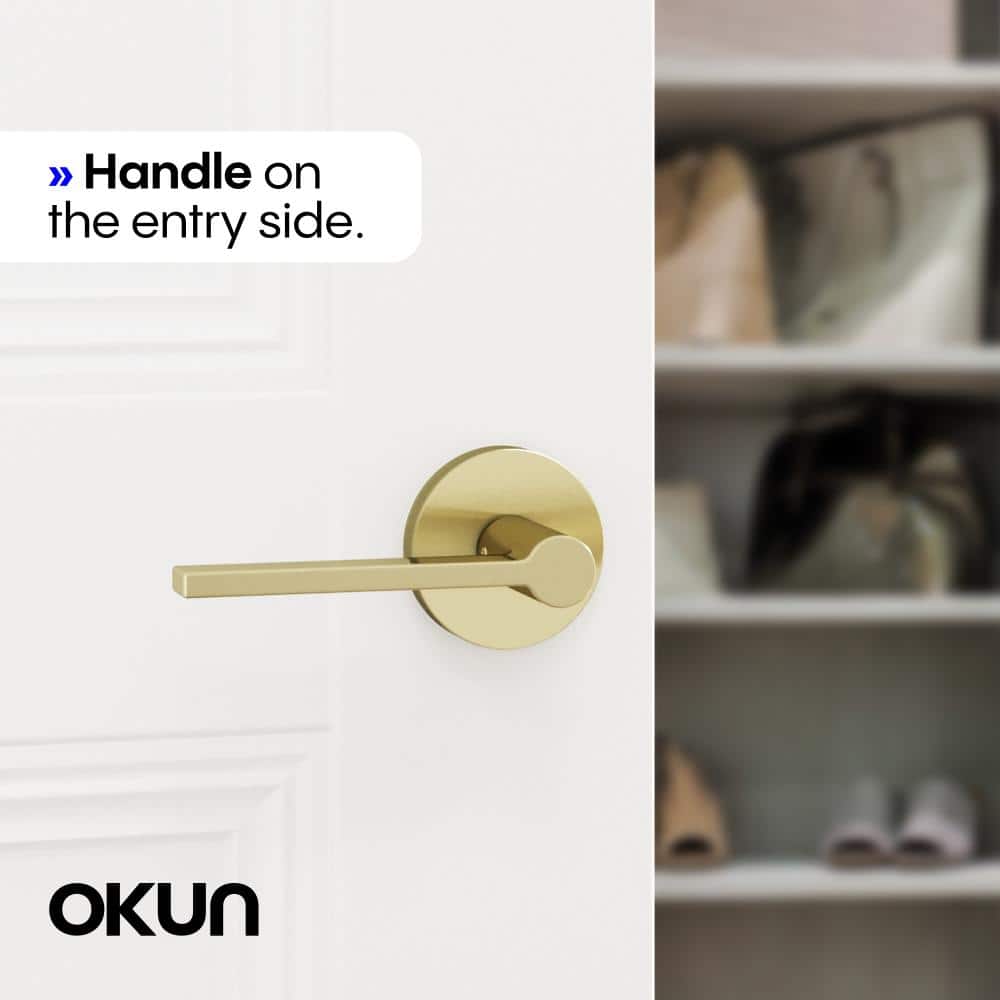 Okun Muse Metal Brushed Champagne Gold Dummy Door Handle with Round Rosette (2)