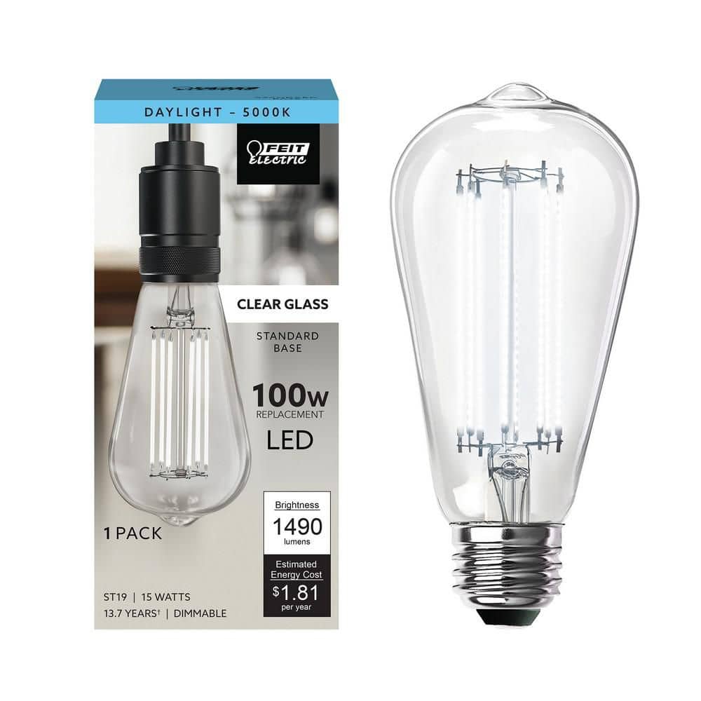 Feit Electric 100-Watt Equivalent ST19 Dimmable Cage Filament Clear Glass E26 Vintage Edison LED Light Bulb, Daylight 5000K (1-Pack)