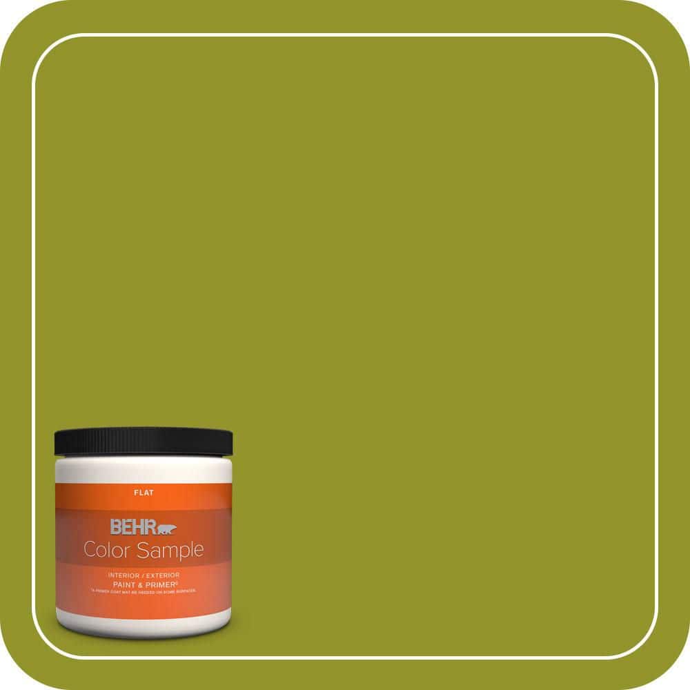 BEHR PREMIUM PLUS #P350-7 Lazy Lizard Interior/ & Primer Color Sample (1)