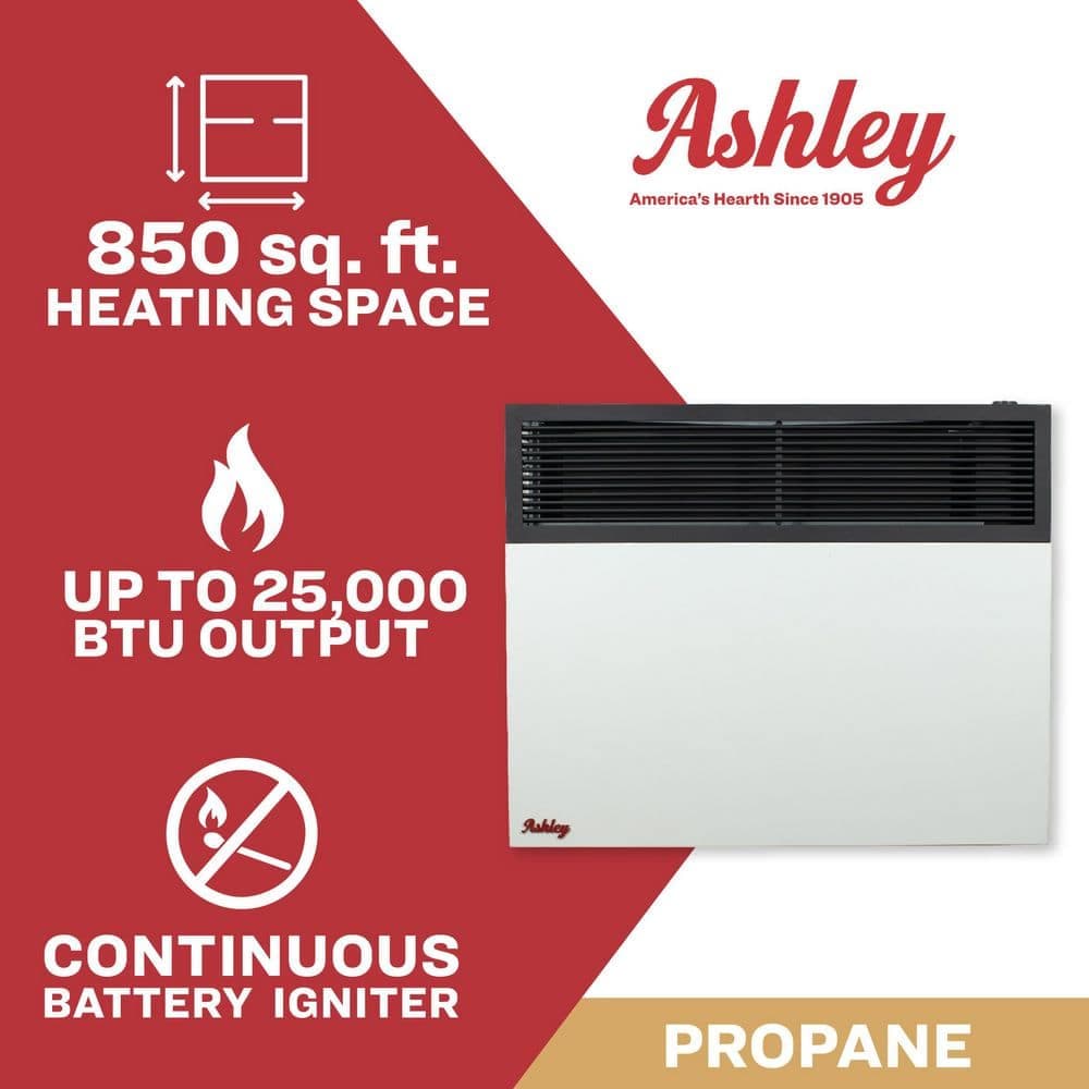 Ashley Hearth Products 25,000 BTU Direct Vent Propane Heater (2)
