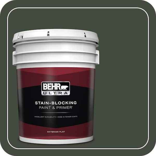 BEHR PREMIUM PLUS #BXC-12 Deep Forest Flat Low Odor & Primer (4)